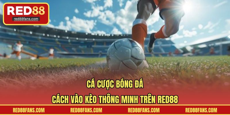 Cá cược bóng đá