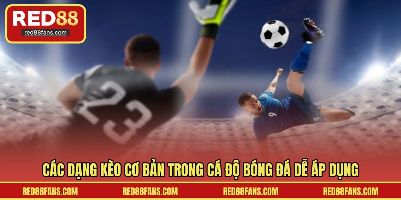Các dạng kèo cơ bản trong cá độ bóng đá dễ áp dụng