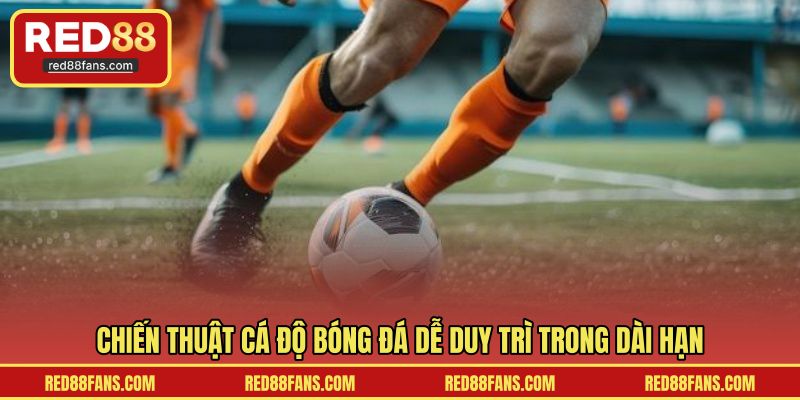 Chiến thuật cá độ bóng đá dễ duy trì trong dài hạn
