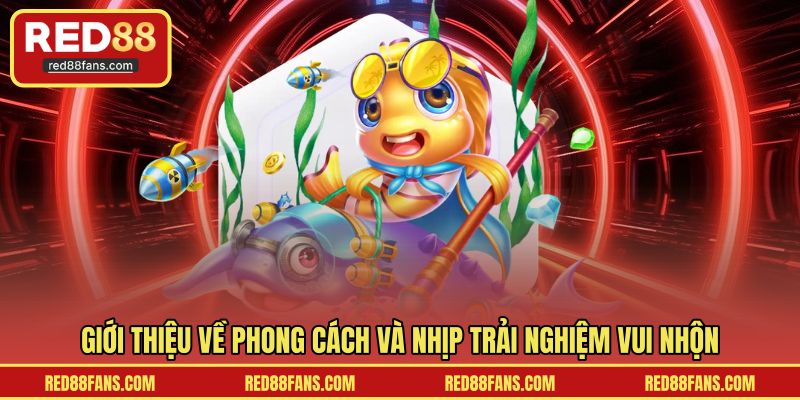 Giới thiệu về phong cách và nhịp trải nghiệm vui nhộn