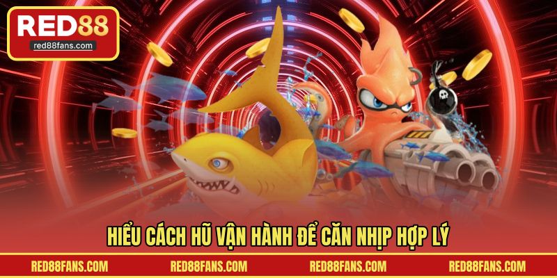 Hiểu cách hũ vận hành để căn nhịp hợp lý