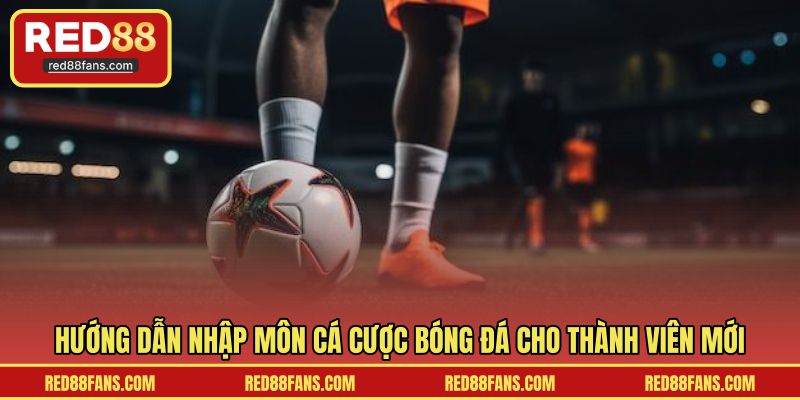 Hướng dẫn nhập môn cá cược bóng đá cho thành viên mới