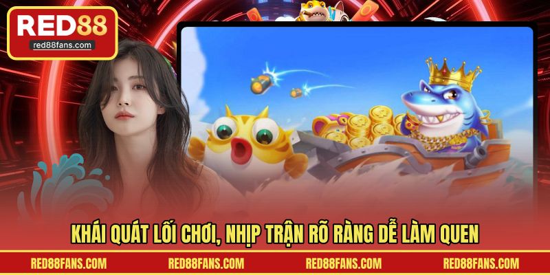Khái quát lối chơi, nhịp trận rõ ràng dễ làm quen
