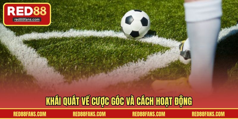 Khái quát về cược góc và cách hoạt động