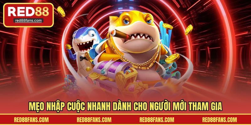 Mẹo nhập cuộc nhanh dành cho người mới tham gia