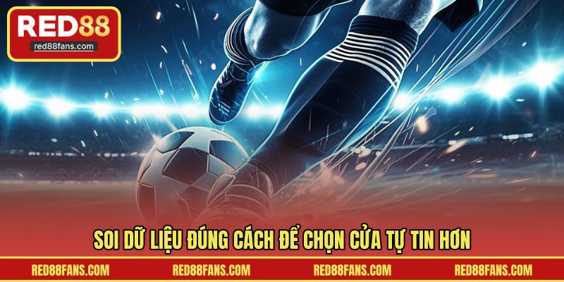 Soi dữ liệu đúng cách để chọn cửa tự tin hơn